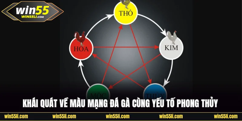 Khái quát về màu mạng đá gà cùng yếu tố phong thủy