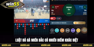 Luật đá gà miền Bắc