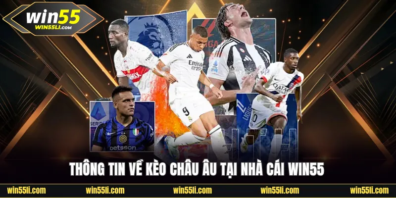 Thông tin về kèo châu Âu tại nhà cái Win55