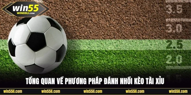 Tổng quan về phương pháp đánh nhồi kèo Tài Xỉu tại Win55